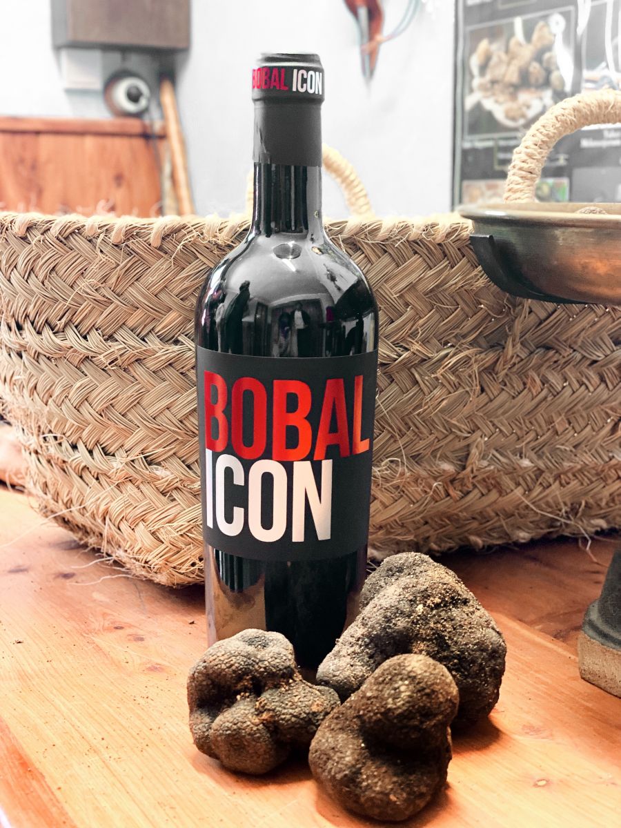 BOBAL ICON 2019