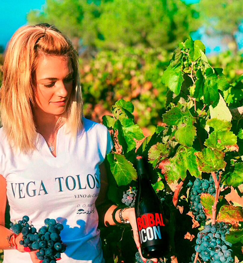 ENOTURISMO VEGA TOLOSA