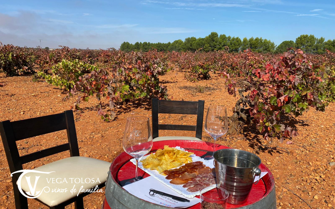 Enoturismo Castilla-La Mancha: descubre la tierra del vino