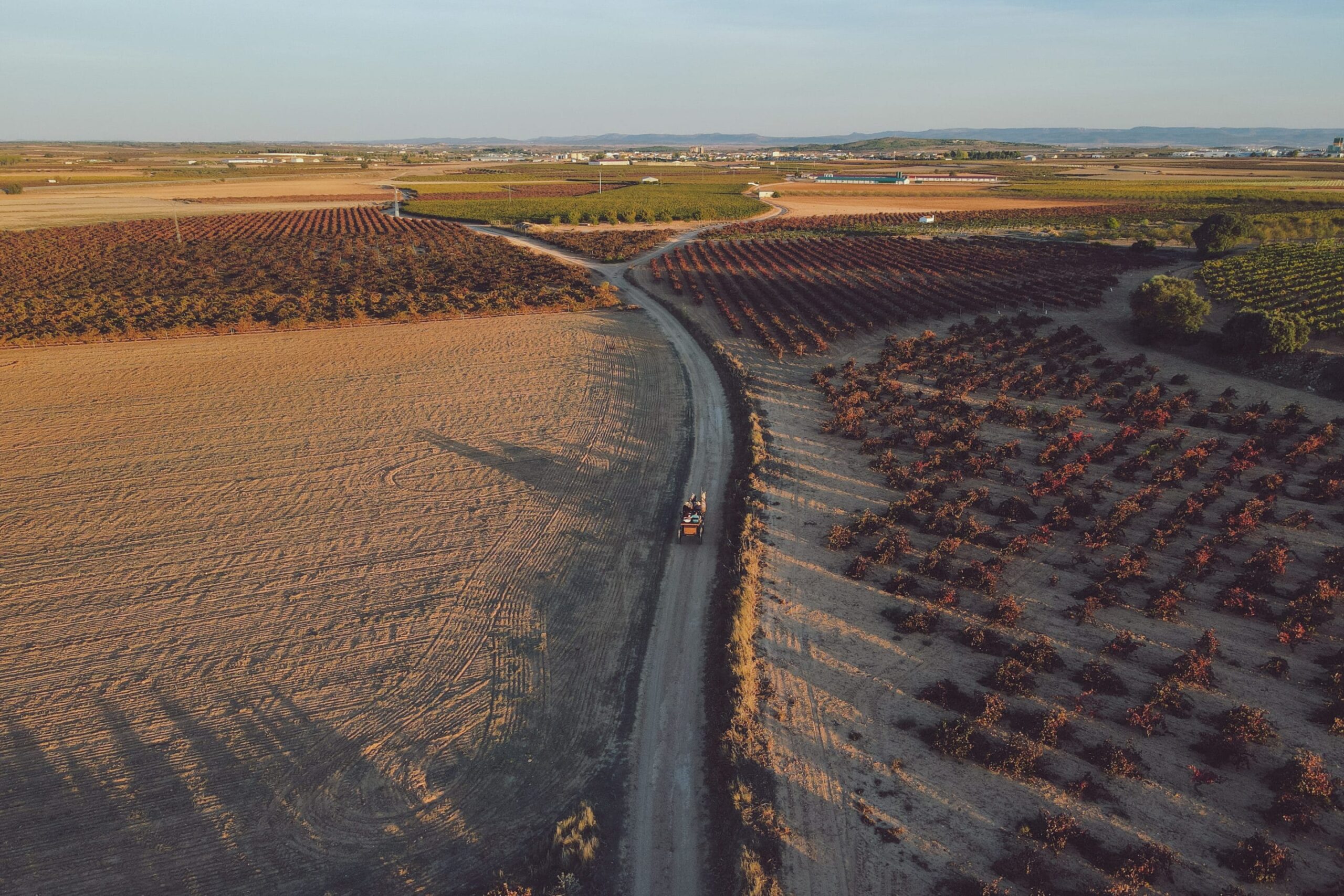 Aqui La Tierra Vega Tolosa DOP Manchuela