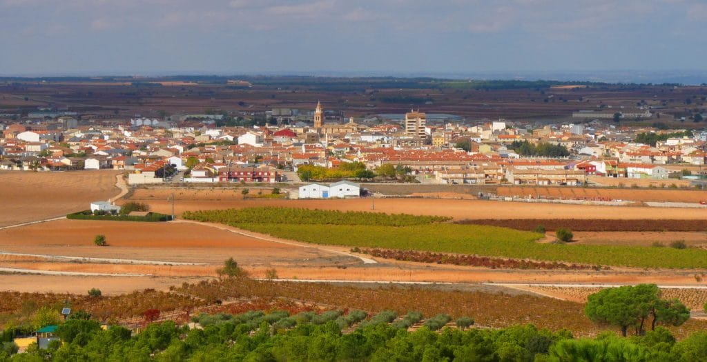 Descubriendo Casas Ibáñez: vino y naturaleza en perfecta armonía