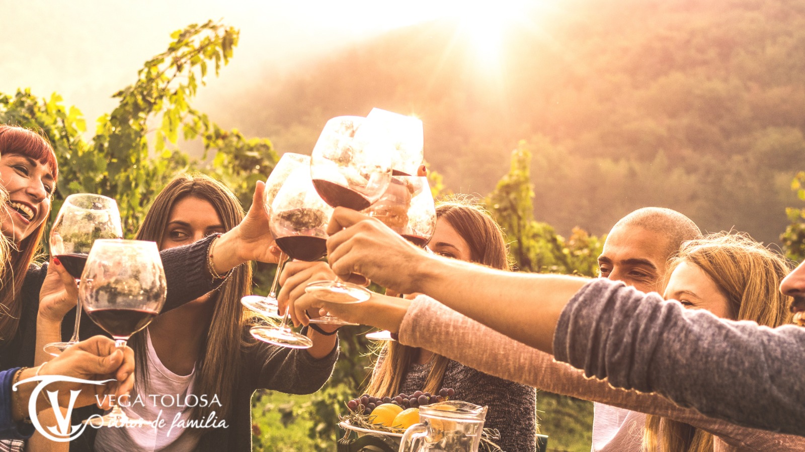 VEGA TOLOSA RECIBE EL PREMIO TRIPADVISOR TRAVELLERS’ CHOICE