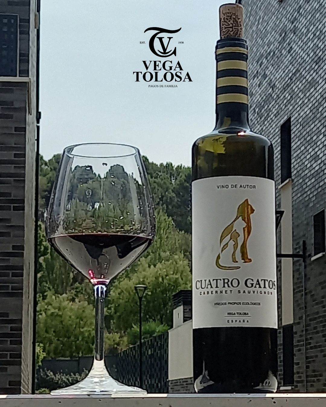 Cabernet Sauvignon con alma del Cabriel: La historia detrás de Cuatro Gatos
